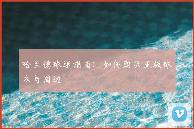 哈兰德球迷指南：如何购买正版球衣与周边