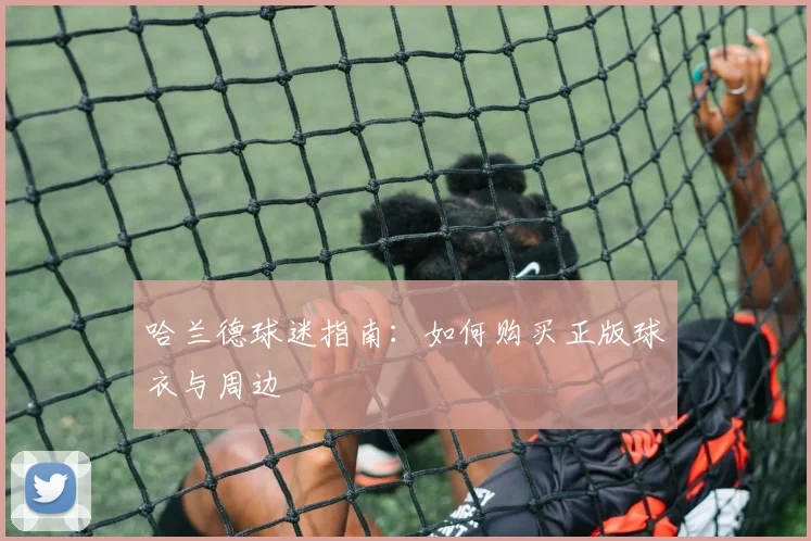 哈兰德球迷指南:如何购买正版球衣与周边
